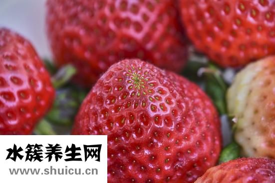 綠活泉怎么樣
