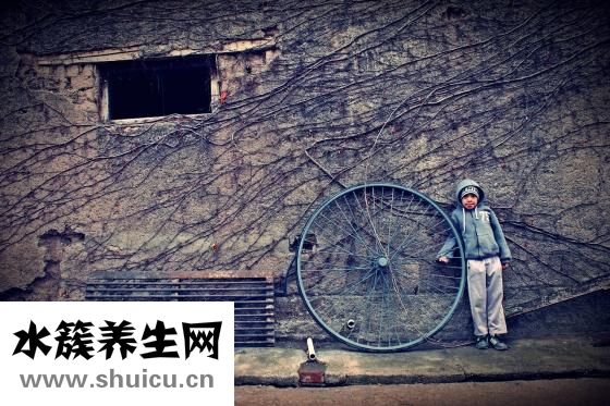 粽子葉是什么