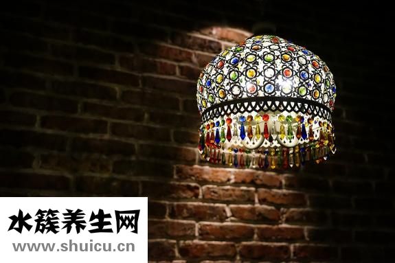 粽子葉是什么