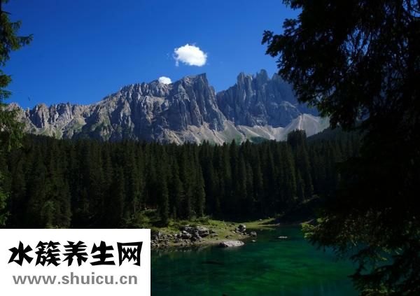 鞍鋼怎么樣