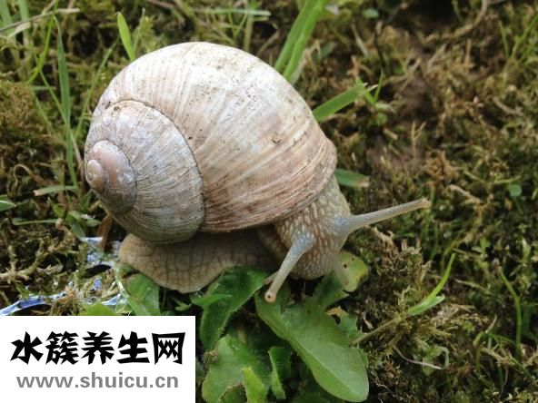 紅包包多少
