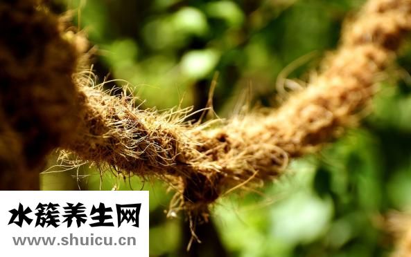 小眼睛適合什么發型