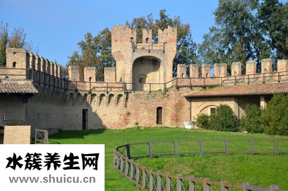 什么精華液好用
