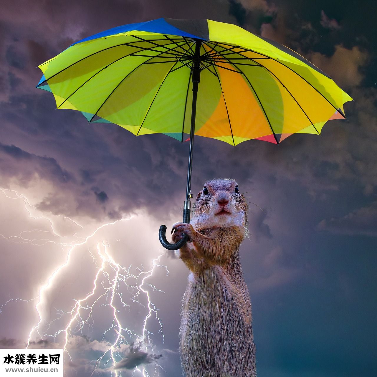 怎么能忘記