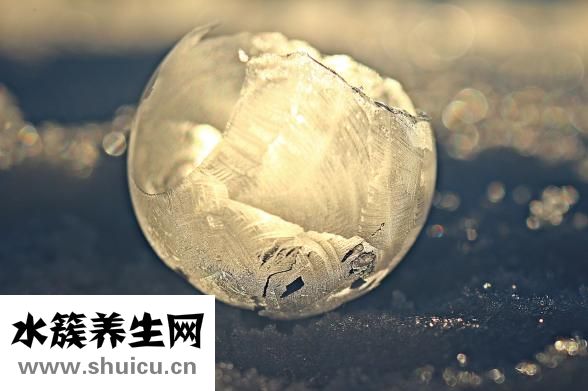 鬧狗怎么辦