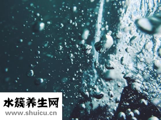 鹽精怎么做