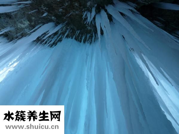 冰凍鴨怎么做