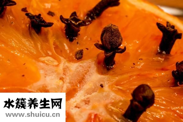 孢子怎么送禮