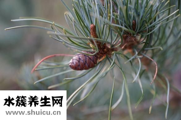 怎么除蜂窩