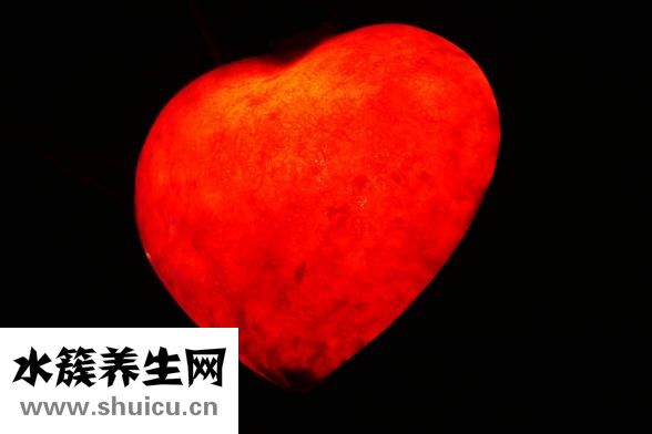 血紅蟲怎么養