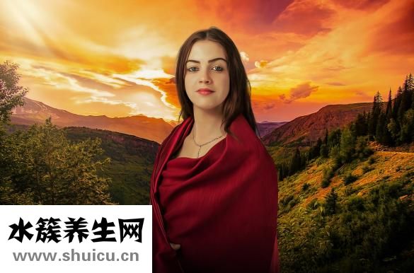 貓打架怎么辦