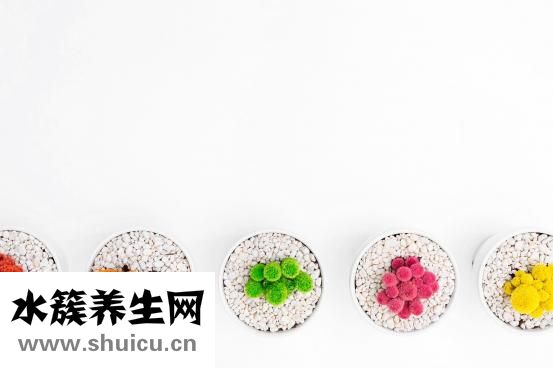 直發怎么扎