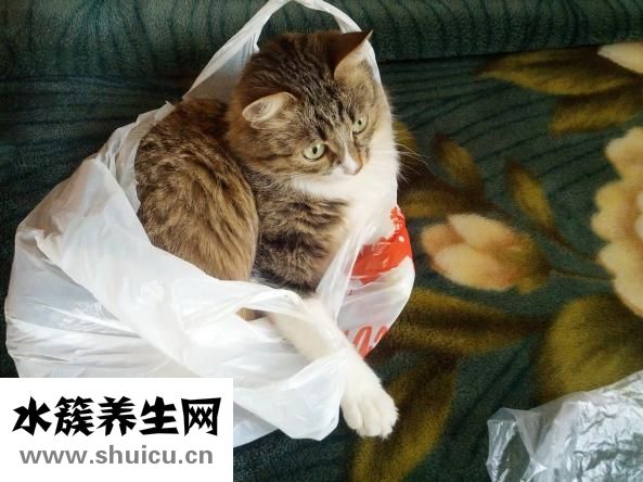 甌柑怎么存放