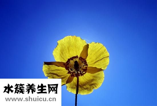 潤發膜怎么用
