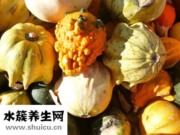 過年沒錢怎么辦