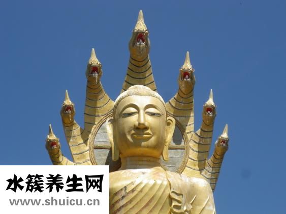 體內濕邪重怎么辦