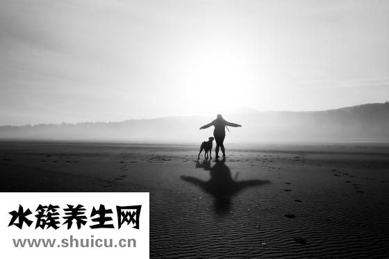 人參怎么挑選