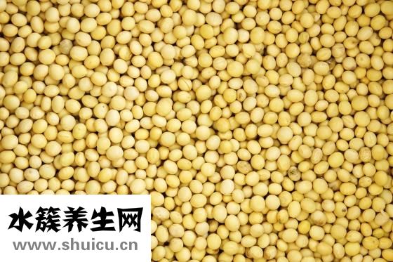 苦豆子怎么吃