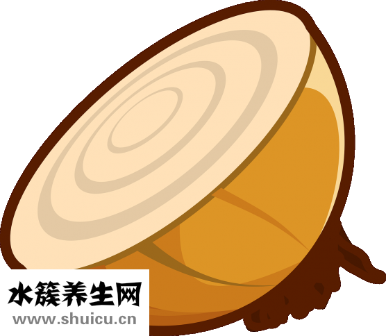 洋蔥怎么吃好吃