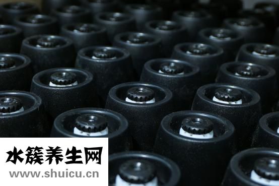 怎么用鹽洗頭