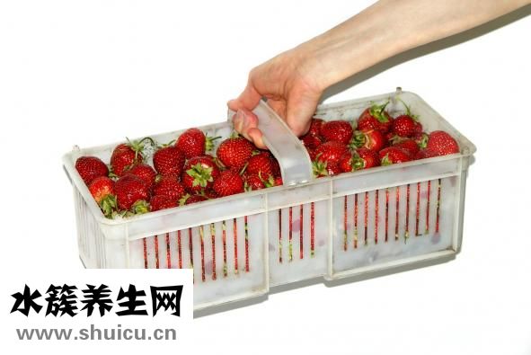 芒是怎么來的