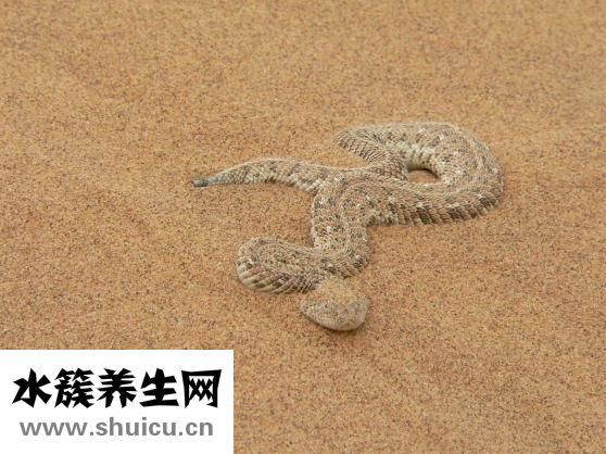 怎么畫仙子