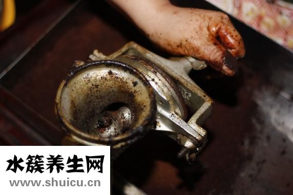 怎么種三七
