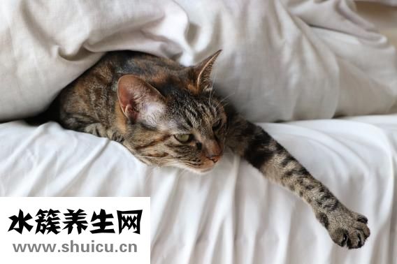 怎么對老婆