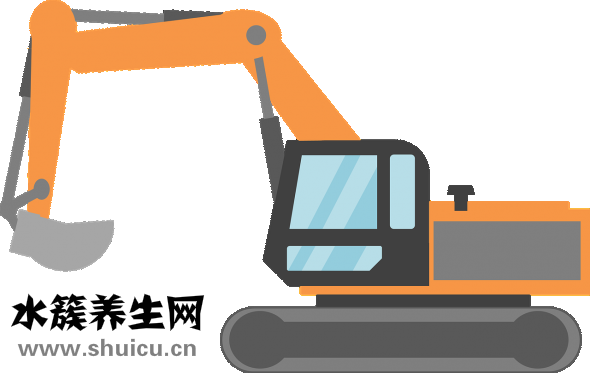 魚缸水草種子怎么種