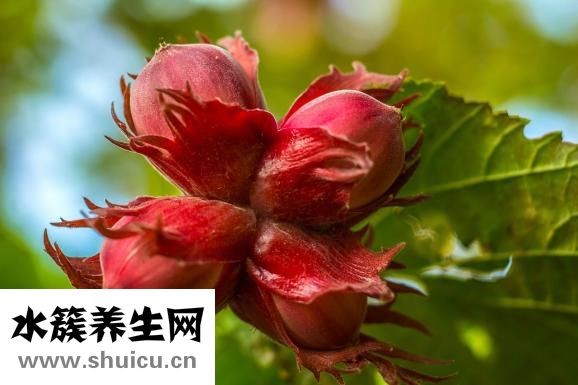 鐵核桃太硬怎么吃