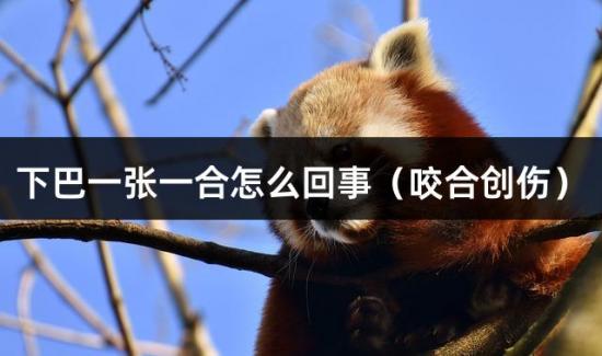 下巴一張一合怎么回事（咬合創傷）