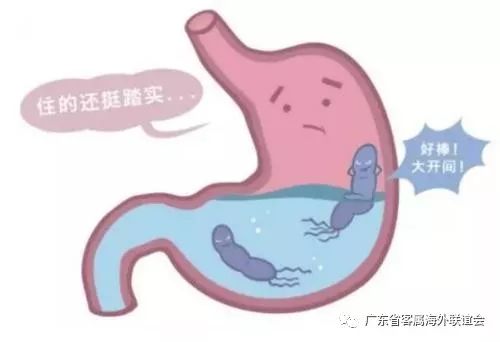 幽門螺桿菌早期癥狀，幽門螺桿菌早期癥狀腹瀉