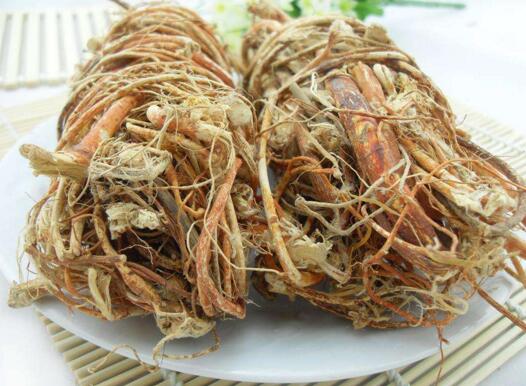 生的五指毛桃根的功效與作用（五指毛桃根的功效與作用）
