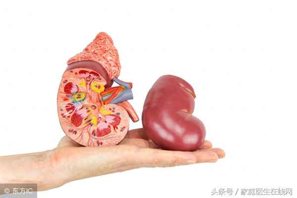 怎么判斷自己有腎結石也不嘔吐不腹脹（怎么判斷自己有腎結石）