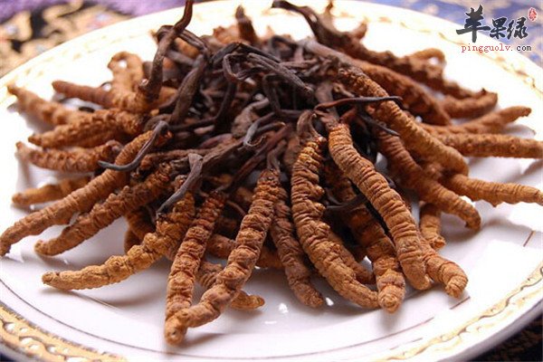 冬蟲夏草的功效主治是什么（冬蟲夏草的功效是什么能治哪些?。?></p>
<p>野生冬蟲夏草。徐臻堂。冬蟲夏草作為滋補著名的藥材，它在鮮用應用方面有特別多的優勢。首先它的有效成分鮮用含量很高，有抗氧化清除自由基的作用。現代認為很多的疾病都是過氧化所引起的，包括衰老腫瘤等等。</p>
<p>冬蟲夏草最重要的有效成分，比如一些酶類，SOD超氧化物歧化酶，這個藥物成分在抗氧化清除自由基方面有很重要的作用。這個成分最主要的特點：一干燥（加熱），它的成分就消失了，就被破壞掉了。</p>
<p>它只有在新鮮當中，它的成分含量比普通的冬蟲夏草要高出2到3倍以上。所以對我們來說鮮用它的有效成分含量才高，這個是從有效成分角度講。在它的藥理作用方面做了一些實驗，為了圍繞冬蟲夏草，剛才做了一些藥理實驗，比如在抗腫瘤抗氧化清除自由基保肺護肝等方面的功能來講，鮮用用冷水提取的鮮藥材比用熱水煎煮的干藥材療效要好很多。</p>
<p>它的半數有效量就低很多，就是起效更快更有效。所以鮮（冬）蟲（夏）草其實在鮮用方面，我覺得是在鮮用當中是個很有代表性的例子，特別是它在抗腫瘤免疫調節保肝護心。來抖音發現更多創作者。</p>
<p>給大家看一下家里的蟲草，這是剛從冷凍里面拿出來的，這個應該是屬于小個的蟲草，煲湯的時候也可以放上幾根，熬粥的時候也可以放或者這么干吃，也可以泡水喝都行。都知道冬蟲夏草嗎？蟲草對于身體幫助太大了。</p>
<p>首先它可以提高身體的免疫力，可以調節血脂還有抗疲勞抗腫瘤?，F在癌癥患者越來越年輕化了，而且越來越多，它可以抗腫瘤?，F在吃兩根抗疲勞效果非常好的，因為現在人們工作量也大，亞健康狀態也多，就干嚼兩根。</p>
                </div>
                <p class=