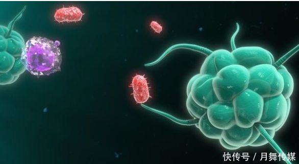 無癥狀感染者都是身體好的嗎（無癥狀感染者是體質好還是差）