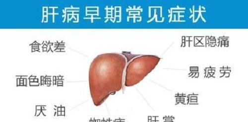 肝病有哪些常見的癥狀（肝病有哪些常見癥狀）