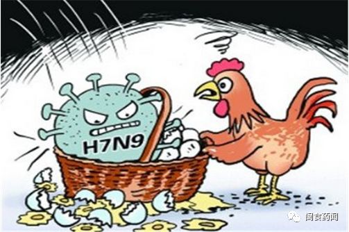 h7n9禽流感病毒是什么病毒（h7n9禽流感的癥狀）