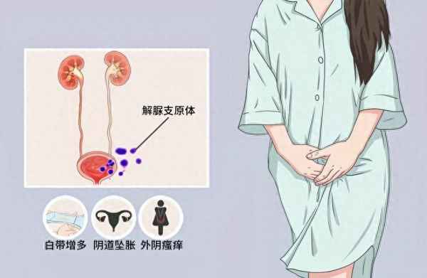 支原體可以根治嗎不會再復發嗎（支原體是一輩子治不好嗎）