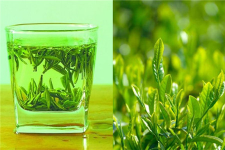 綠茶都包括什么茶（綠茶包括什么茶葉）