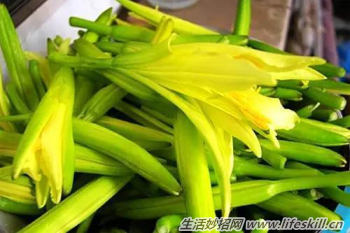 鮮黃花菜的正確食用方法（鮮黃花菜的正確食用方法）