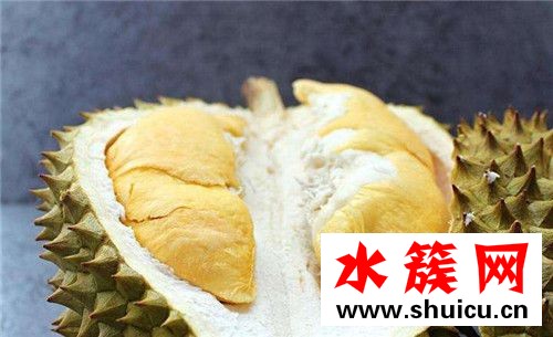 1、桂圓