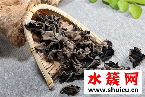 木耳泡久了會有毒嗎