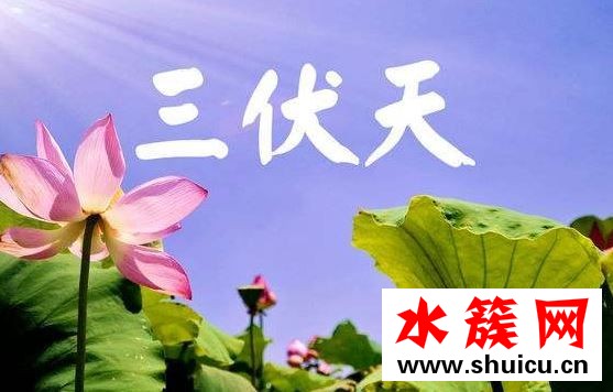 2019三伏天從什么時候開始