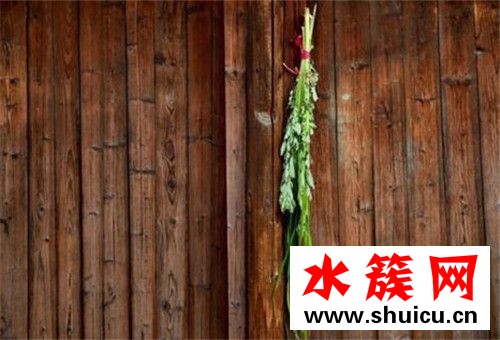 端午節門前為什么要掛艾草