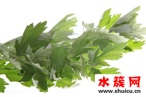 干艾草泡腳有什么作用？
