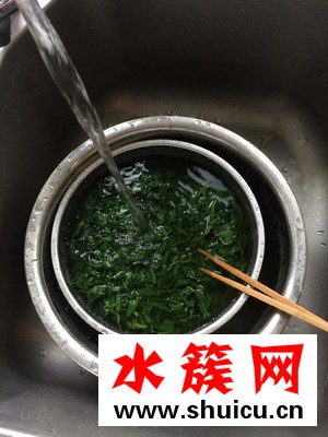 艾草什么時候采摘最好？