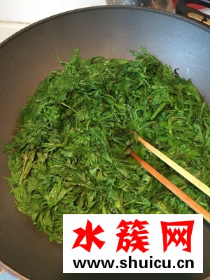 艾草什么時候采摘最好？